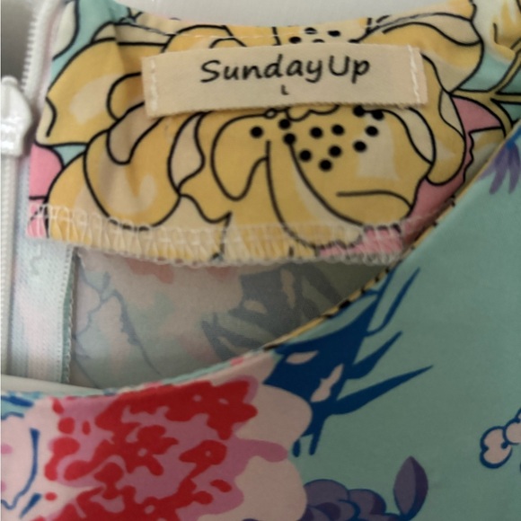 Sunday Up Dress - Picture 3 of 4